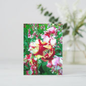 Besondere Tulpen - Postkarte (Stehend Vorderseite)