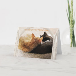 BESONDERES FREUND GLÜCKLICH BIRTHTAG KARTE