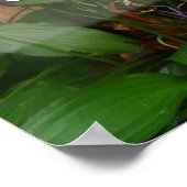 Besser beugt als gebrochen Weisheit Sprichwort Pos Poster (Ecke)