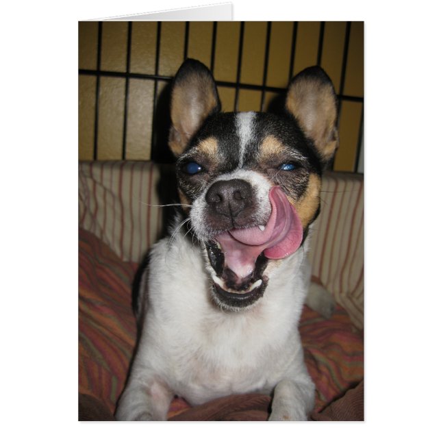 Besser noch? (Vorne)