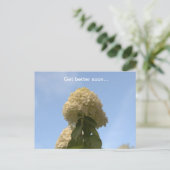 Bessere Limone Hydrangea Postkarte (Stehend Vorderseite)
