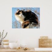 Bessere Sicht Calico Cat Foto Poster (Küche)