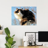 Bessere Sicht Calico Cat Foto Poster (Heimbüro)