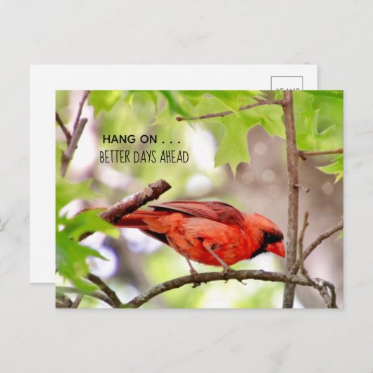 Bessere Tage kommen auf Postkarte (Vorne/Hinten)