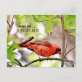 Bessere Tage kommen auf Postkarte (Vorderseite)