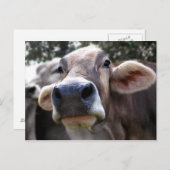 Bessy sagt Hi Grußkarte Postkarte (Vorne/Hinten)