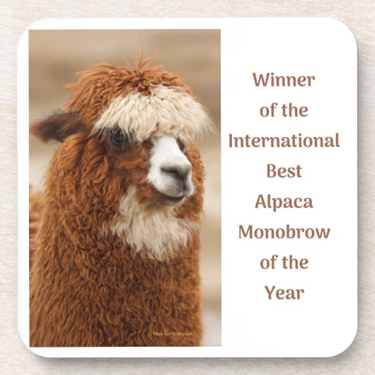 Best Alpaca Monobrow Getränkeuntersetzer (Vorderseite)