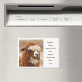 Best Alpaca Monobrow Magnet (In Situ (Geschirrspüler))