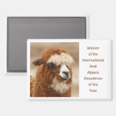 Best Alpaca Monobrow Magnet (Vorderseite/Rückseite)