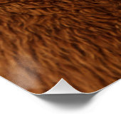 Best Alpaca Monobrow Poster (Ecke)