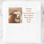 Best Alpaca Monobrow Rechteckiger Aufkleber (Tasche)