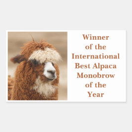 Best Alpaca Monobrow Rechteckiger Aufkleber