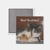 Best Buddies 2" Magnet (Vorderseite/Rückseite)