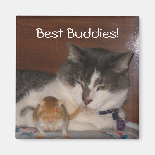 Best Buddies 2" Magnet (Vorne)