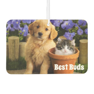 Best Buds Air Freshener Autolufterfrischer
