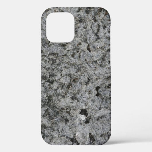 Best Case-Mate Tough Apple iPhone 12 Hülle (Rückseite)