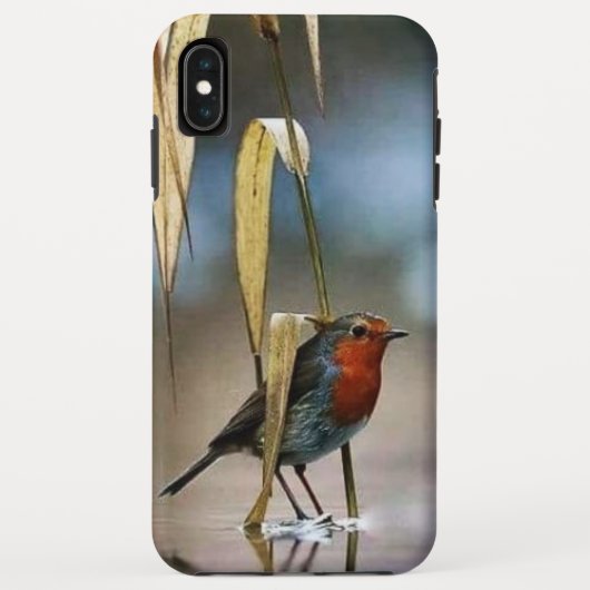 Best Case-Mate Tough Apple iPhone XS Max Case (Rückseite)