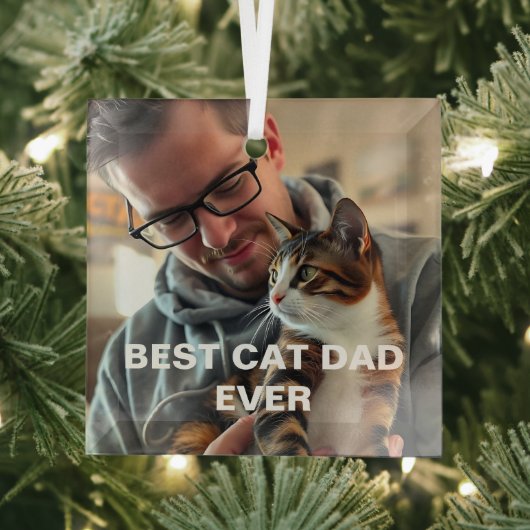 Best Cat Dad Ever – Modern Custom Photo Design Ornament Aus Glas (Insitu)