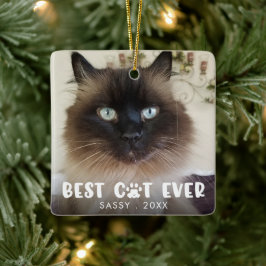 BEST CAT PRO PASS Personalisiertes Foto drucken Keramikornament
