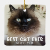 BEST CAT PRO PASS Personalisiertes Foto drucken Keramikornament (Rückseite)