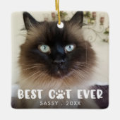BEST CAT PRO PASS Personalisiertes Foto drucken Keramikornament (Vorderseite)
