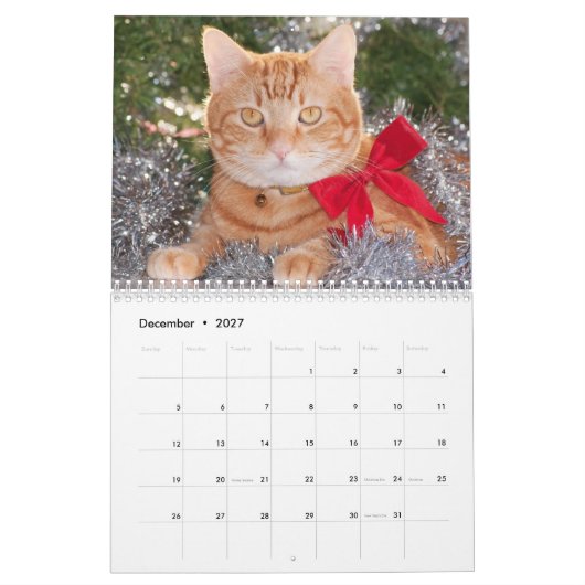 Best Cats Kalender (Dez 2027)