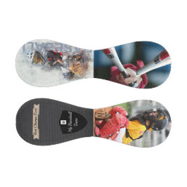 Best Champs Foto Baseball