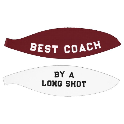 Best Coach Award Basketball (Panele)