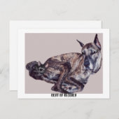 BEST DER HAUSHALTE POSTKARTE (Vorne/Hinten)