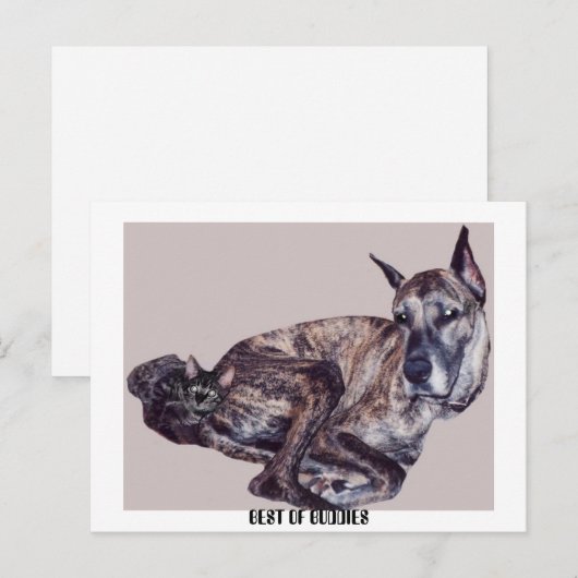 BEST DER HAUSHALTE POSTKARTE (Vorne/Hinten)