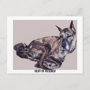 BEST DER HAUSHALTE POSTKARTE