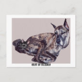 BEST DER HAUSHALTE POSTKARTE (Vorderseite)