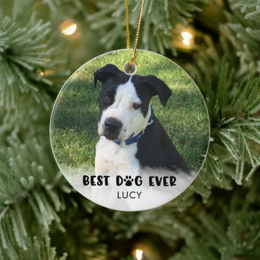 BEST DOG EVENT Foto White Overlay Personalisiert Keramik Ornament (Baum)