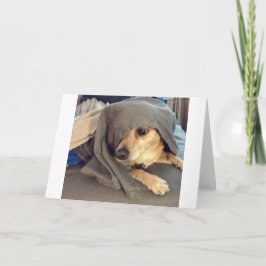 BEST FRIEND aus dem Tierheim ist ein Gruß Karte