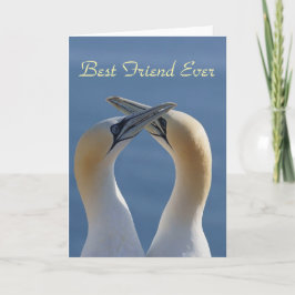 Best Friend Ever Bestie Foto Karte