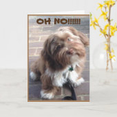 "BEST FRIEND" IST SCHON BALD GUT ZU ERHALTEN KARTE (Gelbe Blume)