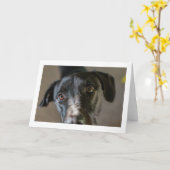 "Best Friend" leere gefaltete Grußkarte Karte (Gelbe Blume)