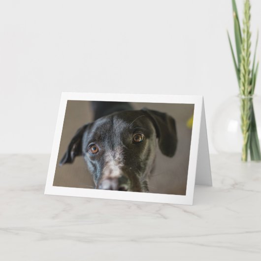 "Best Friend" leere gefaltete Grußkarte Karte (Vorderseite)