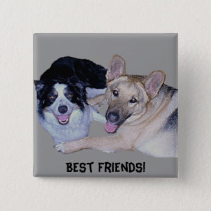 Best Friends Border Collie & German Shepherd Button