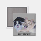 Best Friends Border Collie & German Shepherd Magnet (Vorderseite/Rückseite)