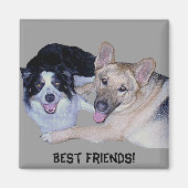 Best Friends Border Collie & German Shepherd Magnet (Vorne)