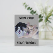 Best Friends Border Collie & German Shepherd Postkarte (Stehend Vorderseite)