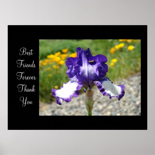 Best Friends Forever Danke, dass Sie Kunstdrucke I Poster (Vorne)