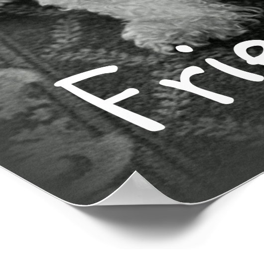 Best Friends Forever Poster Print (Ecke)