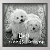 Best Friends Forever Poster Print (Vorne)