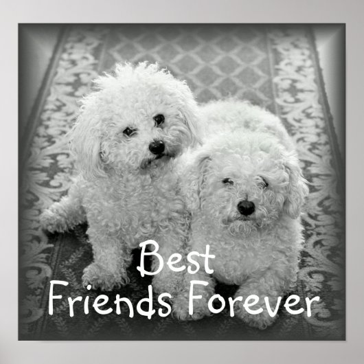 Best Friends Forever Poster Print (Vorne)