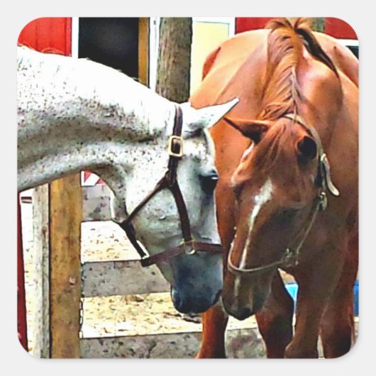 Best Friends Horse Sticker (Vorderseite)