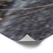 Best Friends - Katzen und deutsche Hirtendrucke Poster (Ecke)