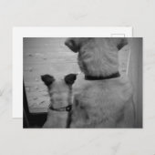 Best Friends Postcard Postkarte (Vorne/Hinten)