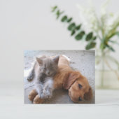 Best Friends Postcard Postkarte (Stehend Vorderseite)